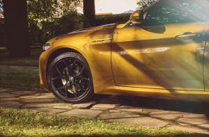 15 Special Series GT Junior