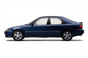 403947 Civic celebrates its 50th Anniversary