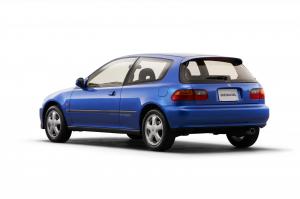 403953 Civic celebrates its 50th Anniversary