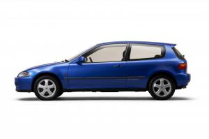 403955 Civic celebrates its 50th Anniversary