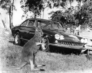 ferrari-330-gt-2+2-v12-mk1-5