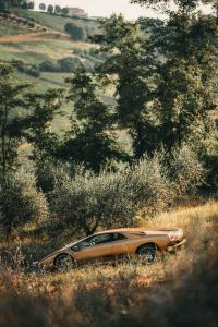 lamborghini-diablo-6L0-se-52