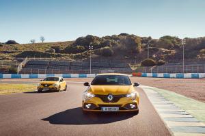 renault-megane-4-rs-cup-34